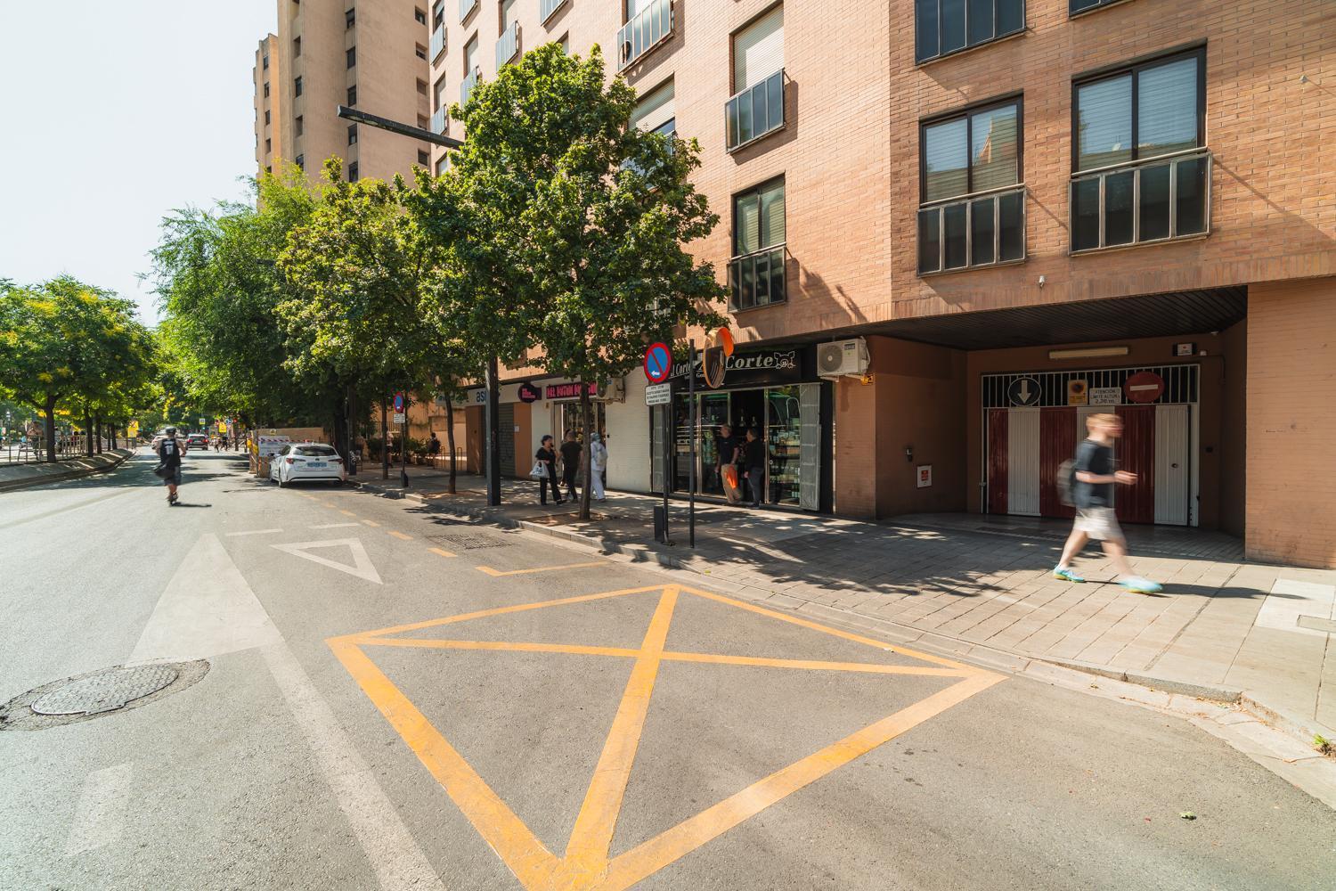 Constitucion Apartment - Free Parking Гранада Екстер'єр фото